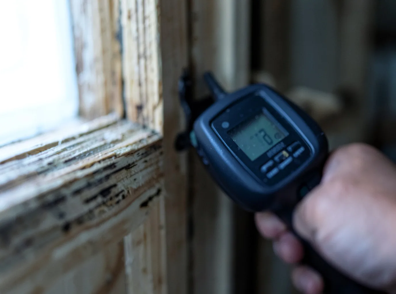 Commercial Water Damage Restoration in Allenspark, CO